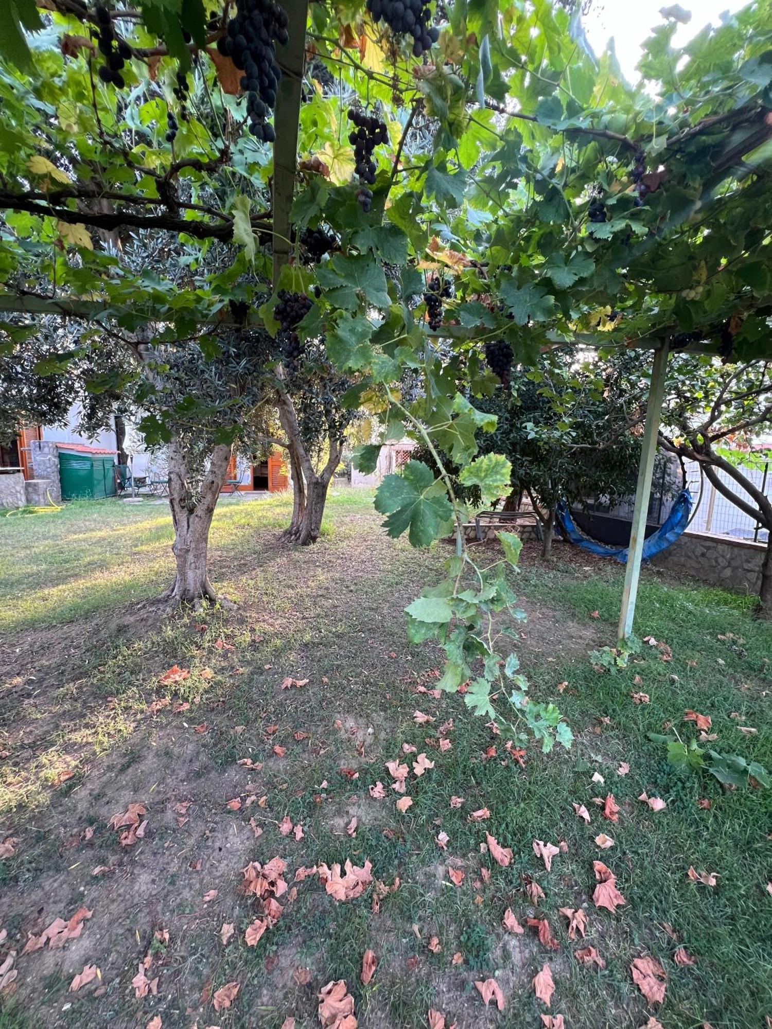 Le Gemelle Apartment Vico Equense Luaran gambar